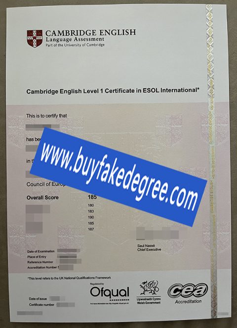 Buy Fake Cambridge English level C ESOL certificate | Buy Fake Diploma ...