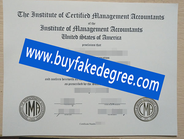 Certified Management Accountant certificate