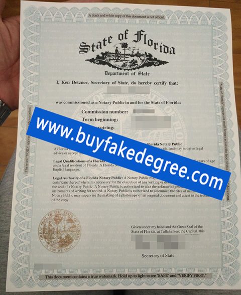 How To Buy Fake State Of Florida Apostille Buy Fake Diploma Online   State Of Florida Apostille 480x588 