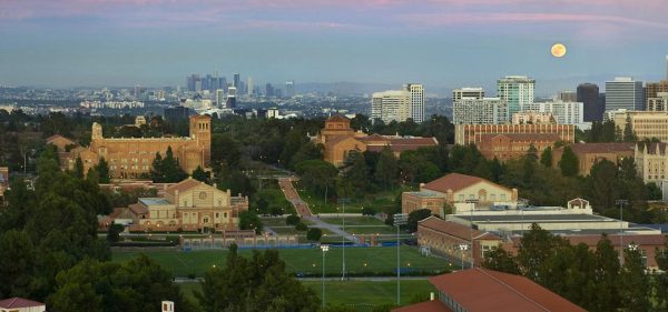 University of California Los Angeles