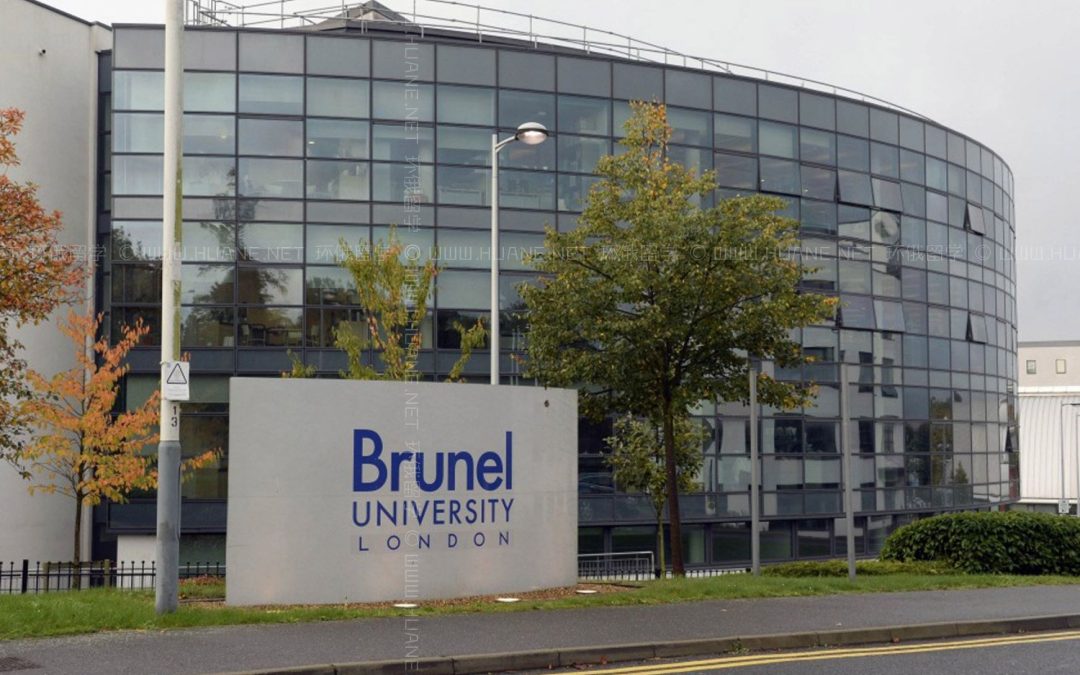 Brunel University degree