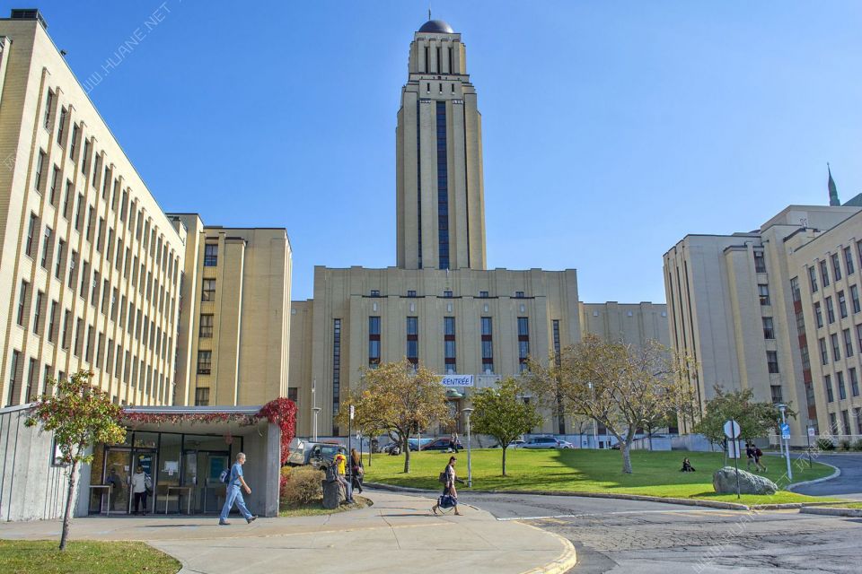 University of Montreal degree