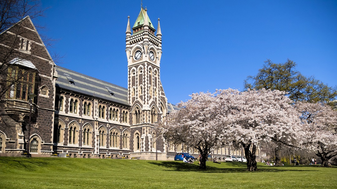 University of Otago degree