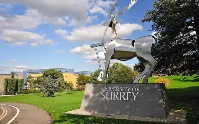 How to Buy Fake University of Surrey Degree?